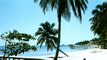 Tropica Beach Resort - hotel in Ambergris Caye, Belize