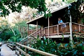 Hotels - Cayo District, Belize - duPlooy's Jungle Lodge
