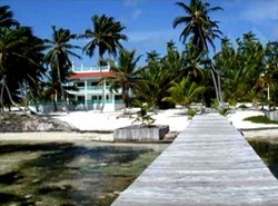 Hotels - Ambergris Caye, Belize - Blue Dolphin Belize