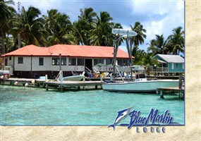 Hotels - Dangriga, Belize - Blue Marlin Lodge