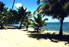 Hotels - Dangriga, Belize - Hopkins Inn