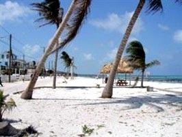 Hotels - Caye Caulker, Belize - Iguana Reef Inn
