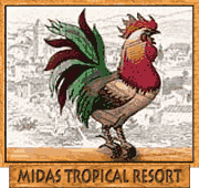 Midas Tropical Resort in San Ignacio, Belize
