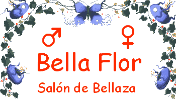 Bella Flor